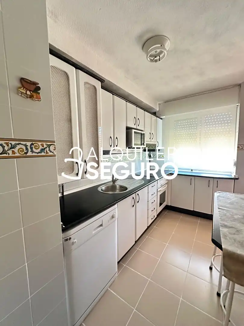 Piso de alquiler en Los Lilos, Prado Santo Domingo - Ensanche