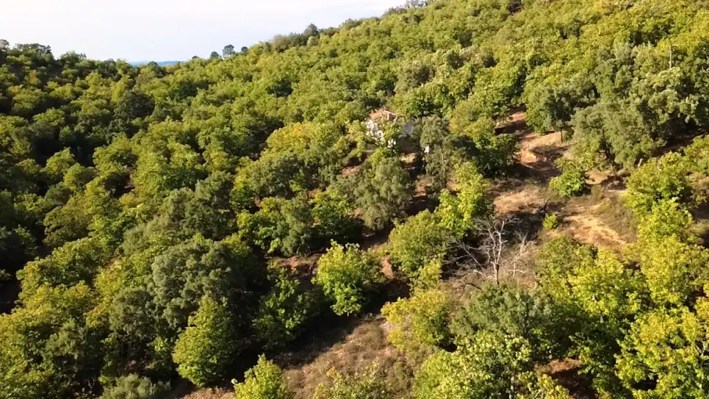 Terreni e lotti in vendita a Castaño del Robledo, imagen 26