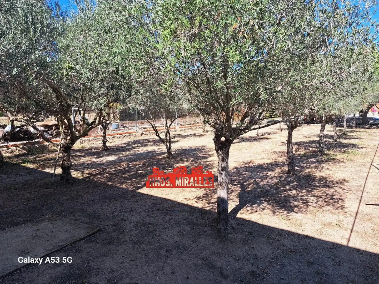 Casa amb piscina en venda a Hondón de los Frailes, imagen 23