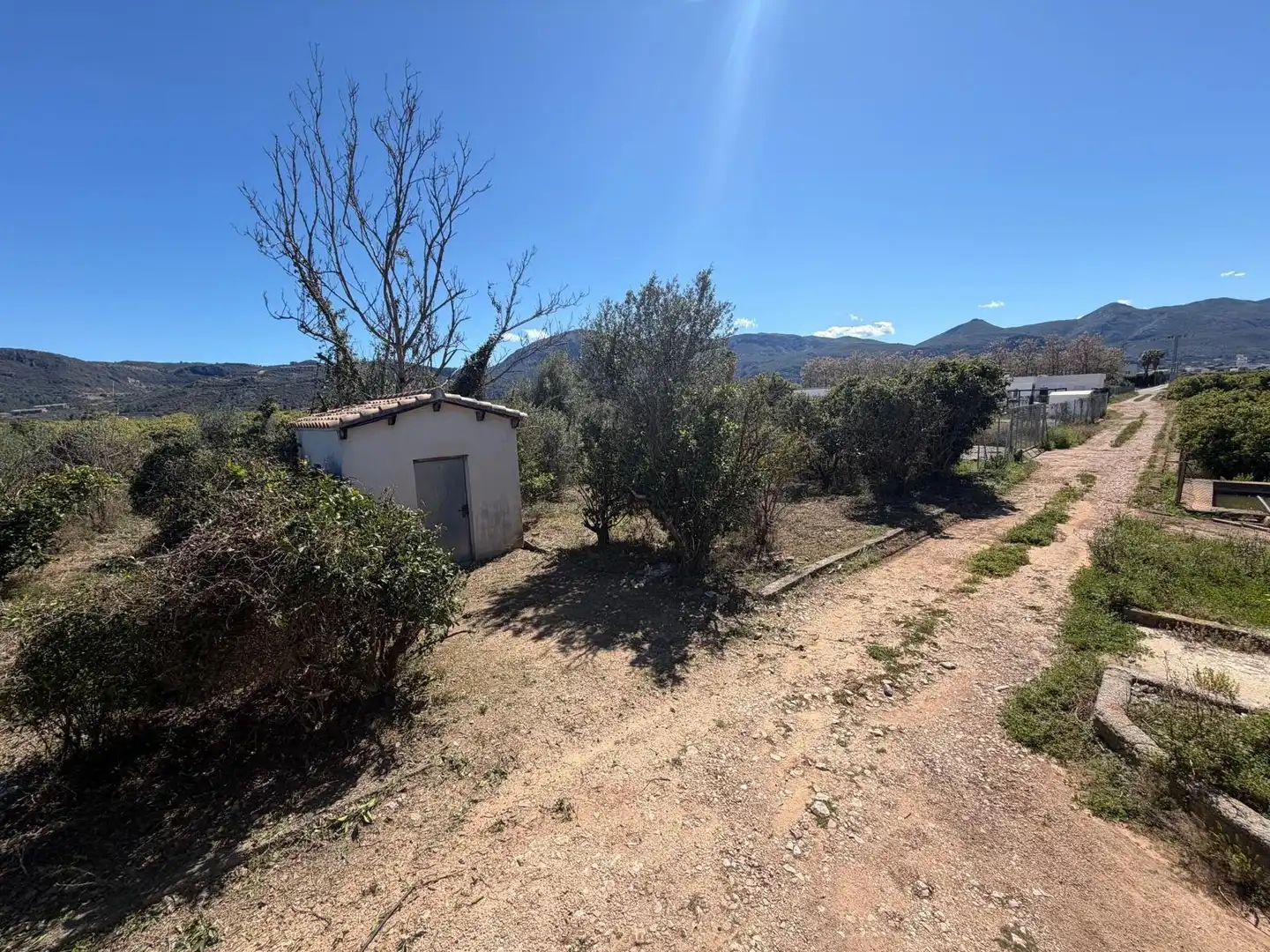 Rural land for sale in Pego, imagen 14