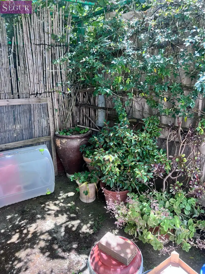 Jardí de Casa o xalet en venda en Vejer de la Frontera amb Jardí privat