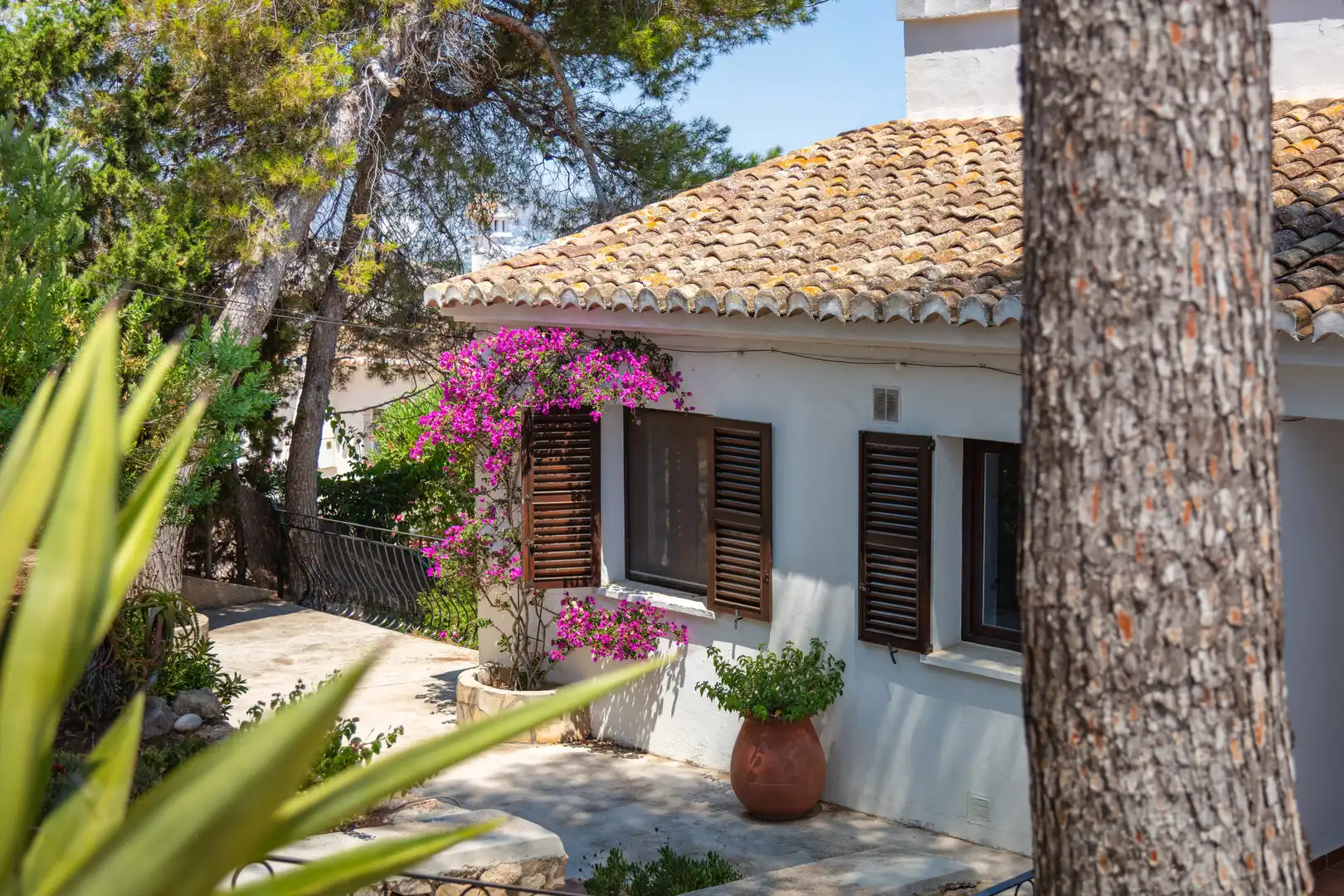 Casa o chalet en venta en La Granadella - Costa Nova