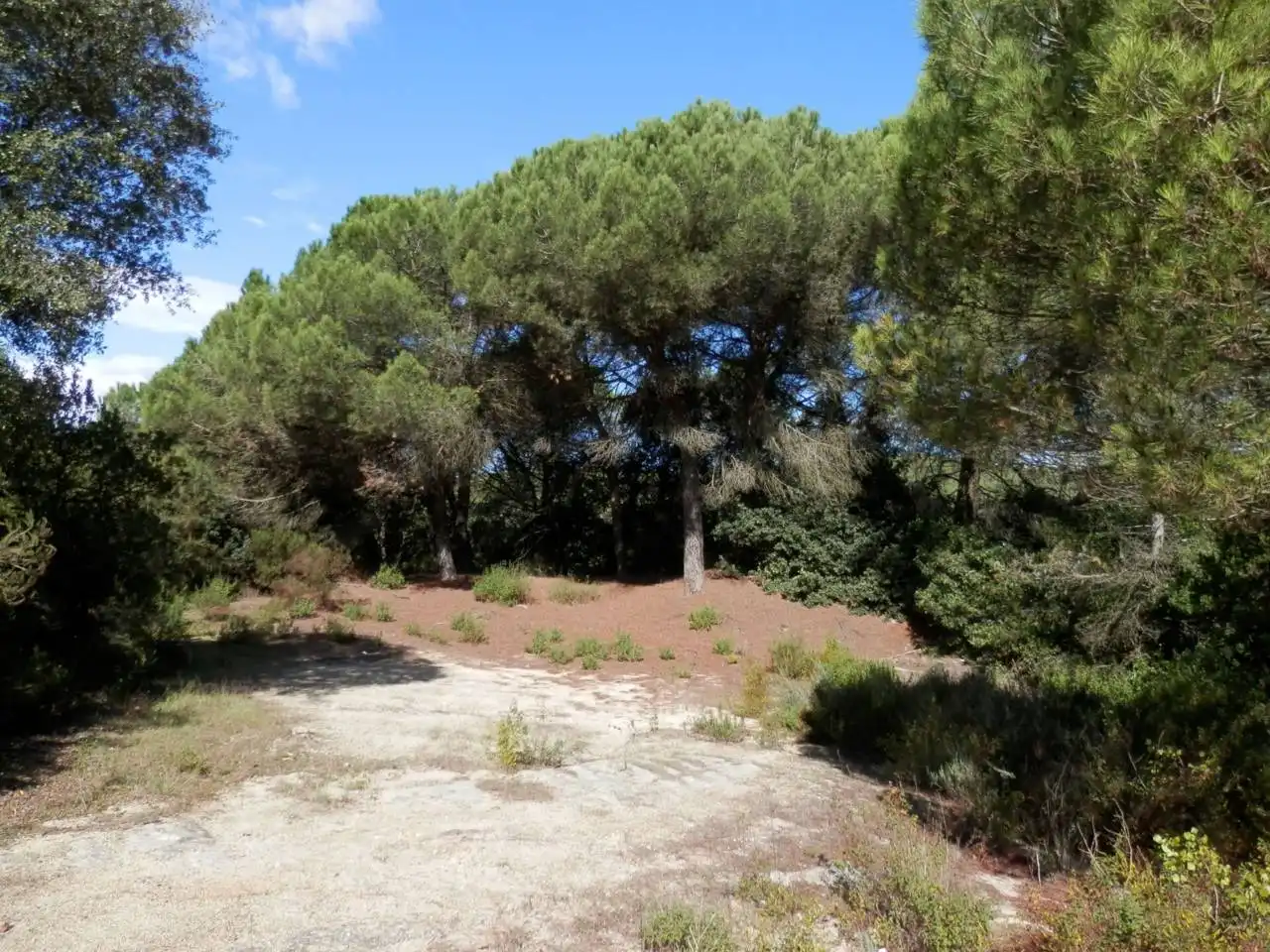Land for sale in Vilanova del Vallès