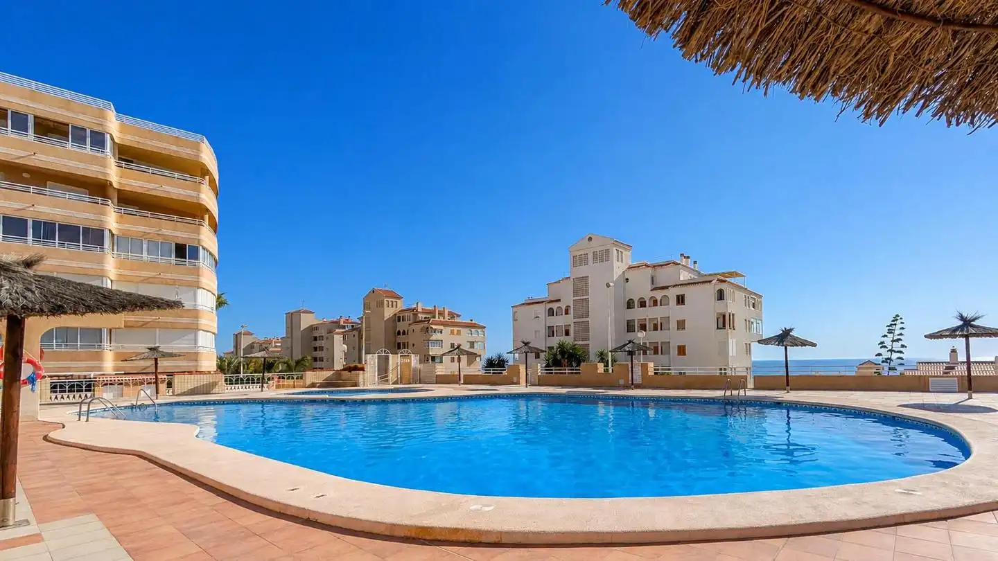 Swimming pool of Detached homes for sale in Elche / Elx  with Terrace, Storage room and Swimming Pool