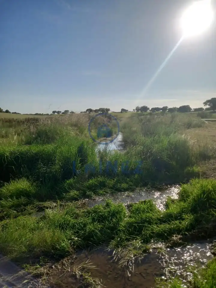 Terreno en venta en Valsequillo