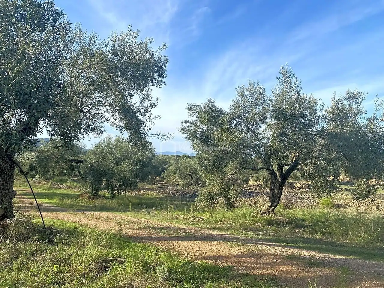Terrain rustique à vendre à Burgà, imagen 6
