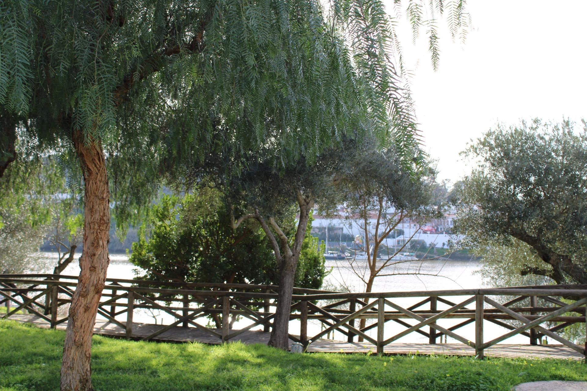 Garden of Country house for sale in Sanlúcar de Guadiana  with Air Conditioner and Heating
