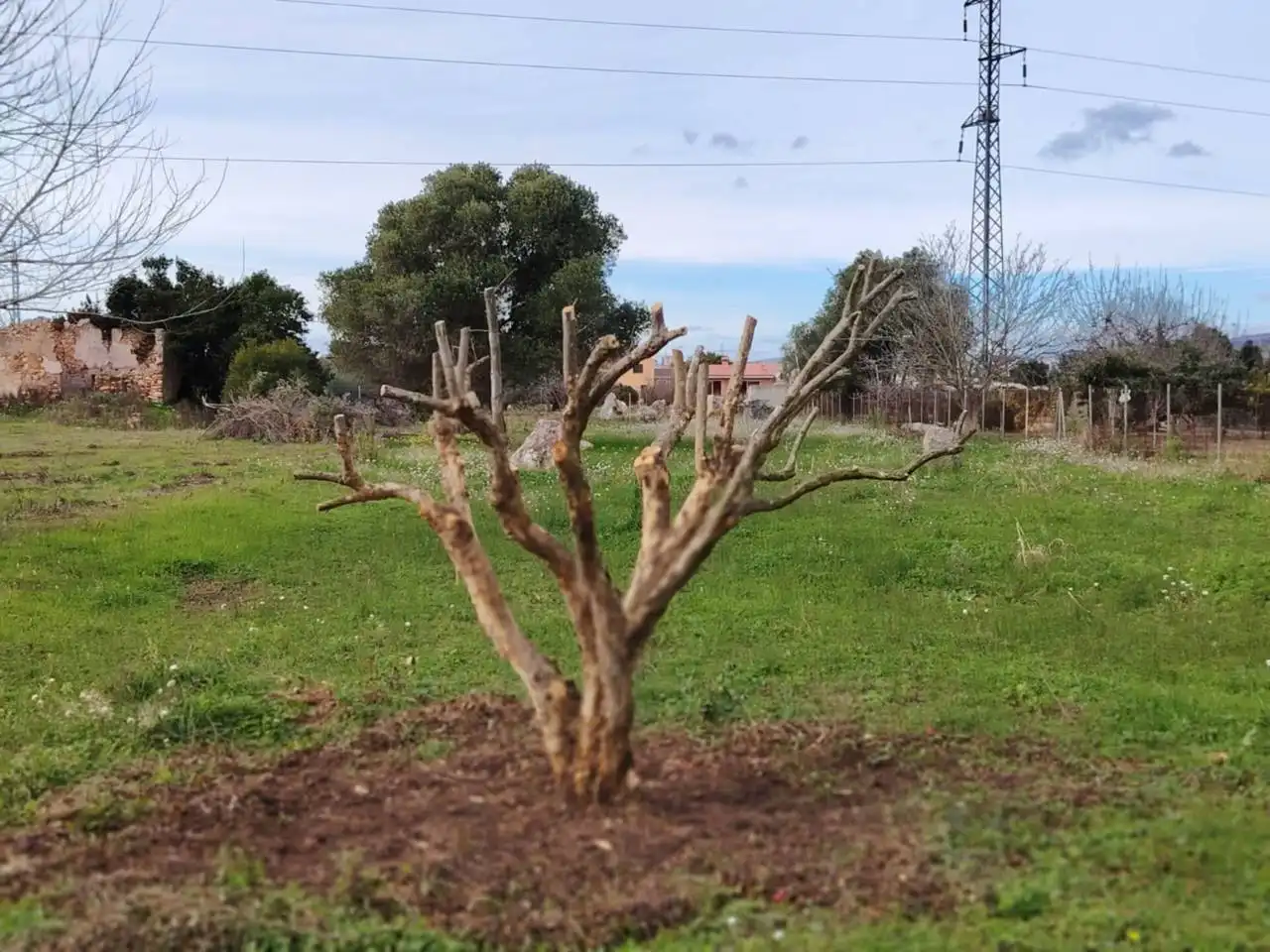 Terreny rústic en venda a Camino Donació, imagen 2