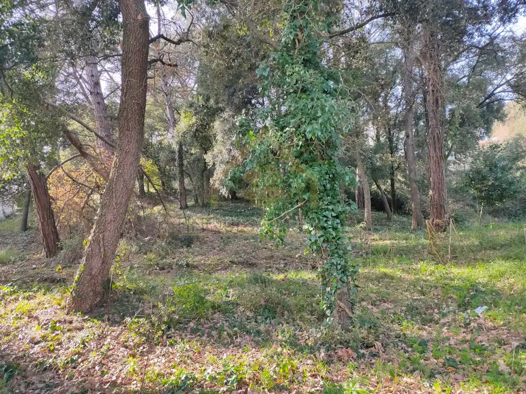 Residential for rent in Sant Pere de Vilamajor