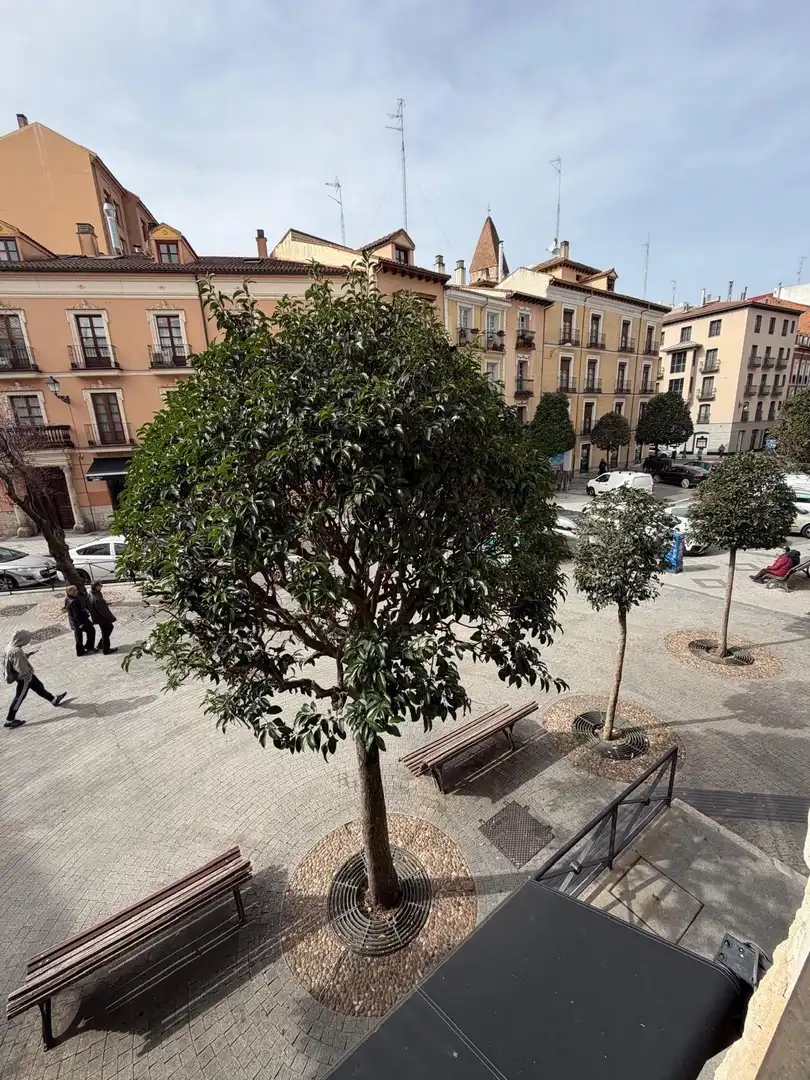 Außenansicht von Büro zur Miete in Valladolid