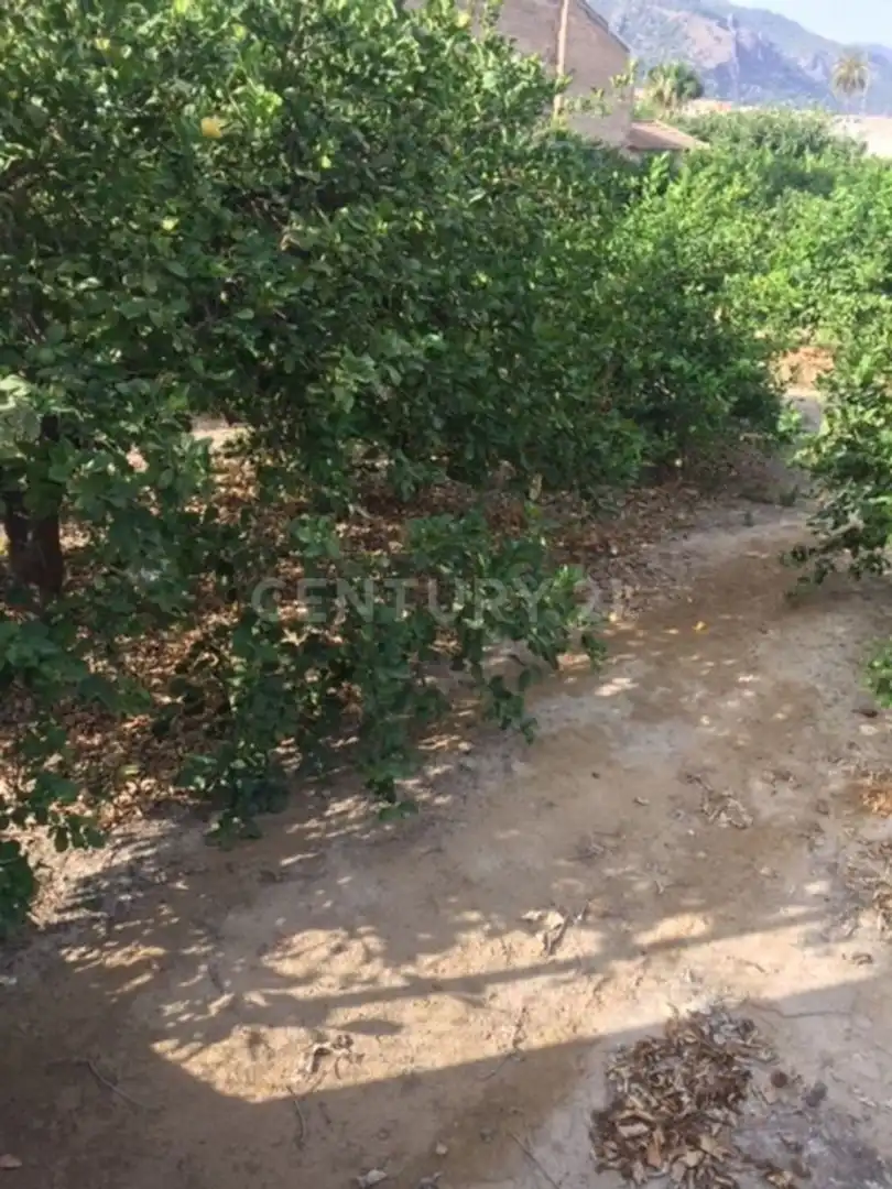 Land for sale in Diseminado, 1, Aledo