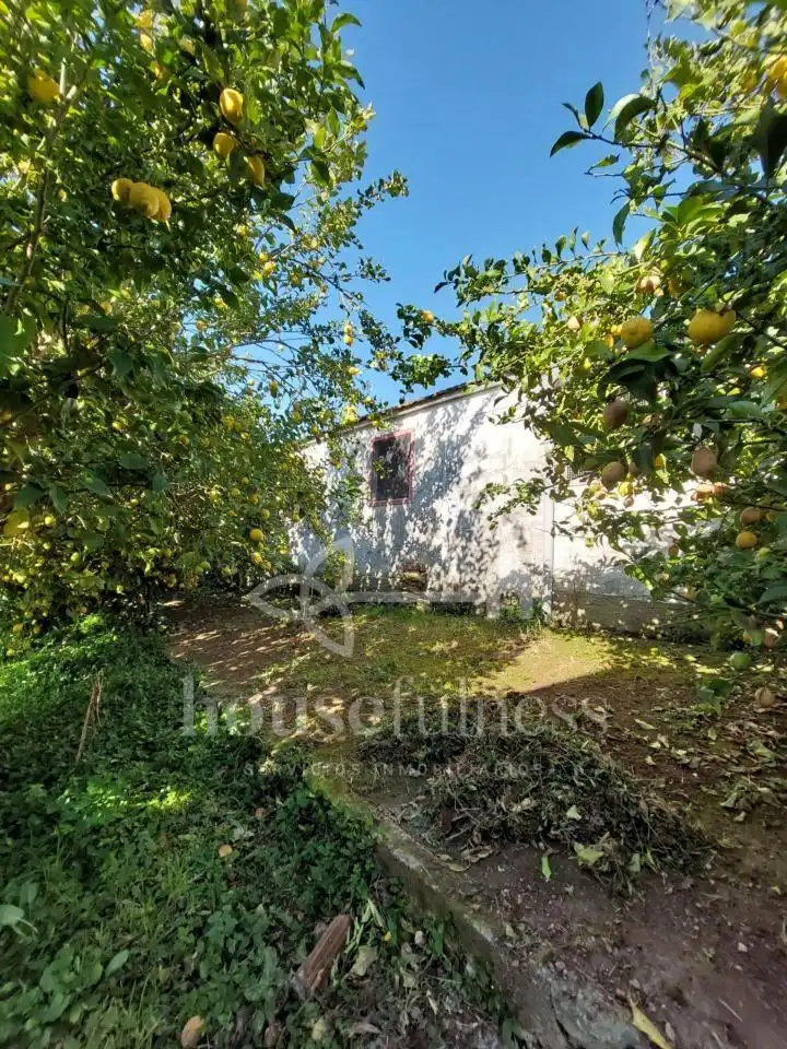 Jardín de Finca rústica en venta en Narón con Jardín privado y Trastero
