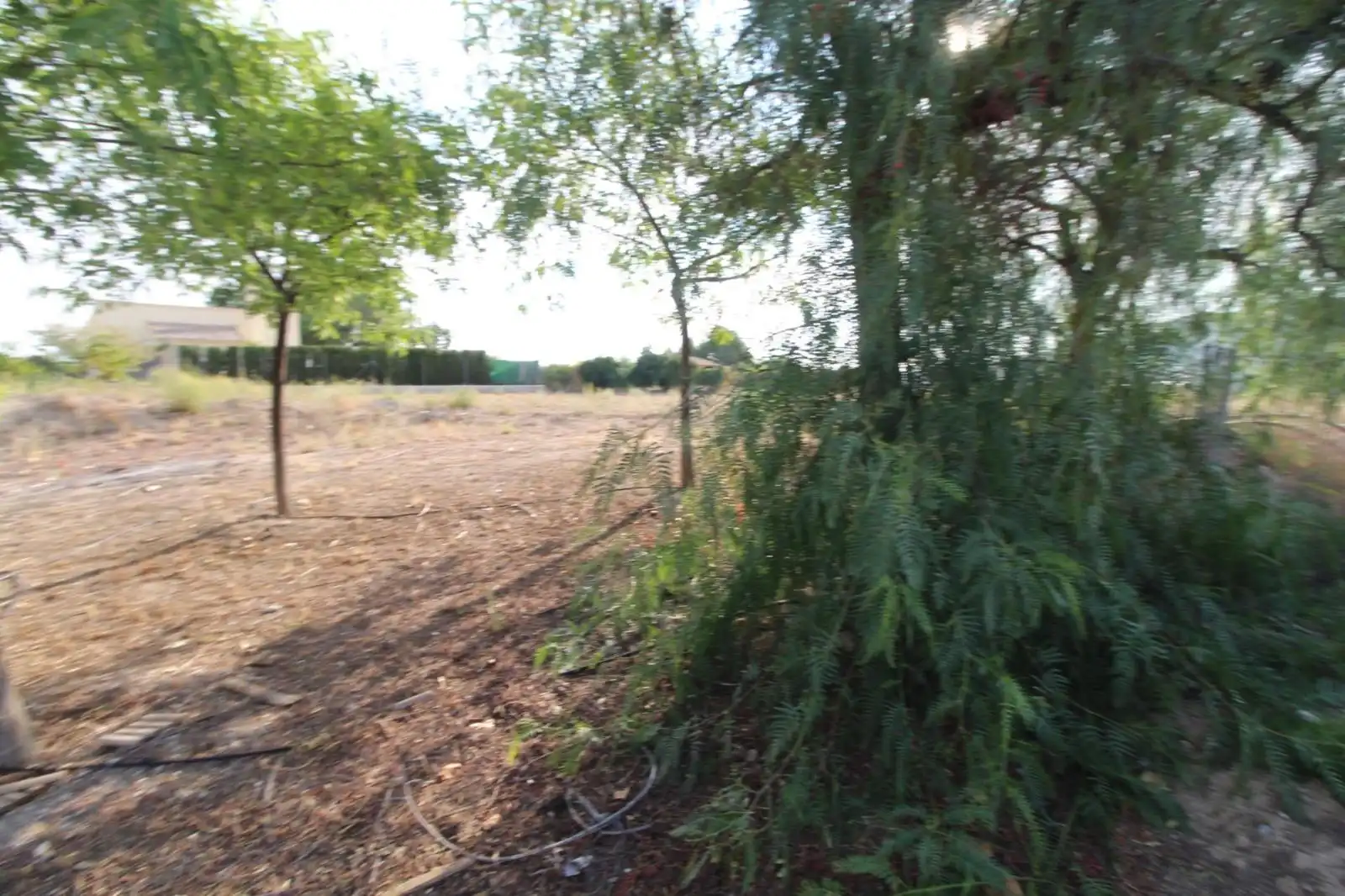 Casa o xalet en venda en Mula