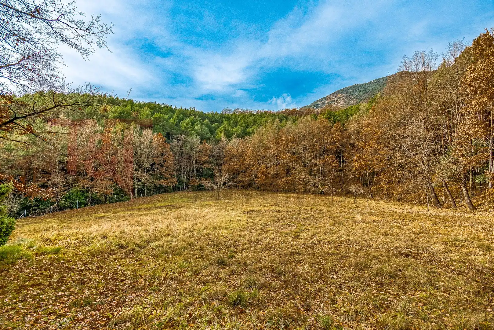 Finca rústica en venta en C-462, 7, Sant Llorenç de Morunys