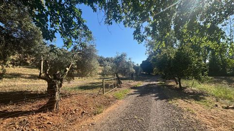 Foto 2 de Finca rústica en venda a Área Rural-Valverde-Las Casas, Ciudad Real Capital