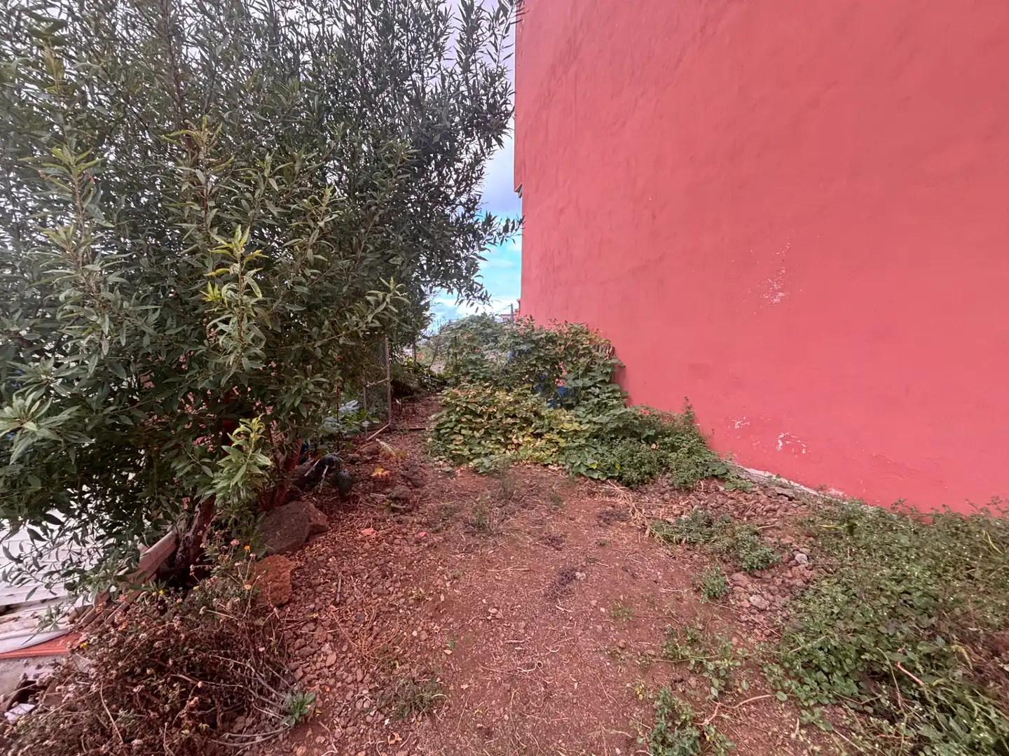 Land for sale in Santa Úrsula