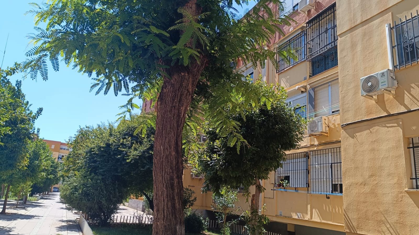Vista exterior de Pis en venda en  Sevilla Capital amb Aire condicionat, Calefacció i Terrassa