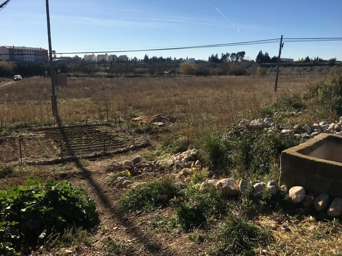 Terreny rústic en venda a Ulldecona, imagen 21