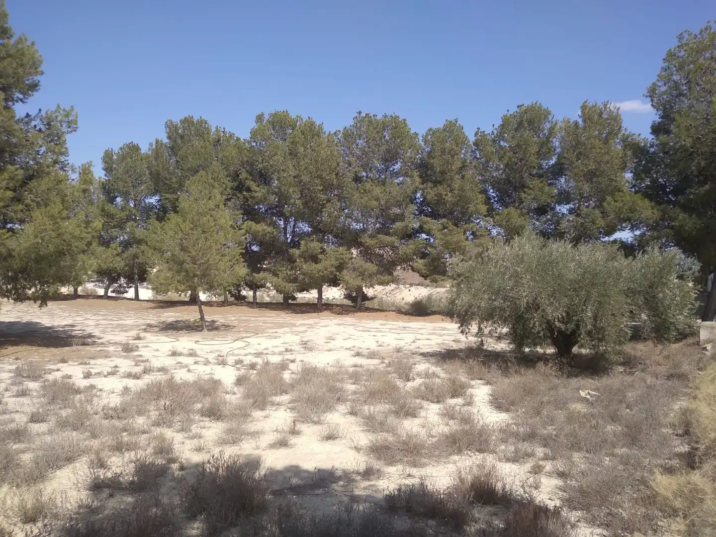 Terreni e lotti in vendita a Campos del Río, imagen 11