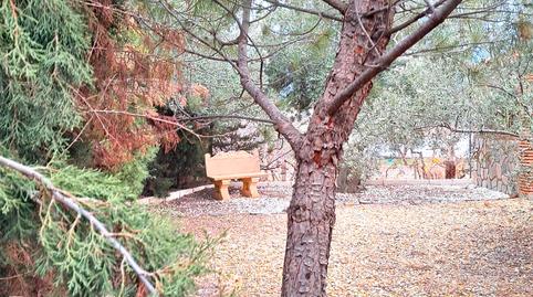 Foto 2 de Finca rústica en venta en Fiñana, Almería