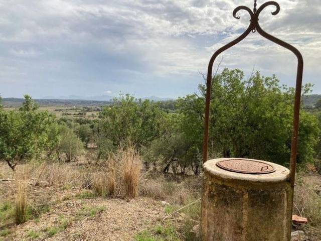 Terreno residencial en Venta en Maria de la Salut