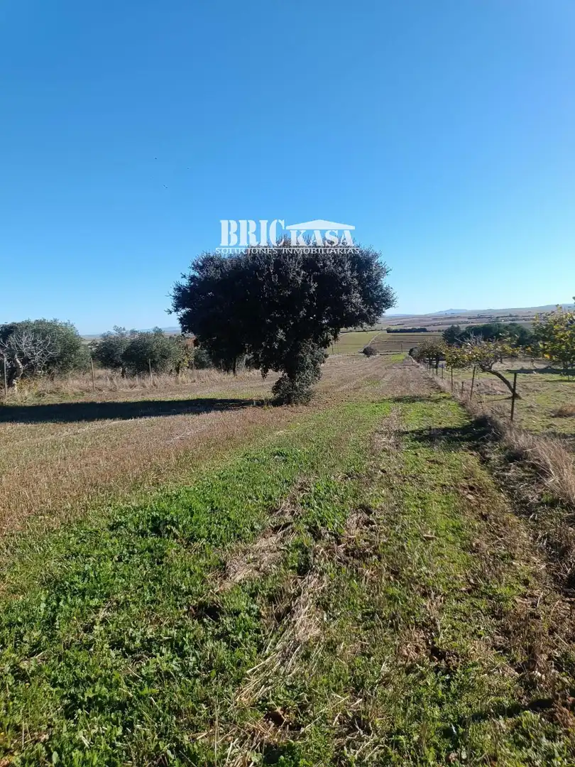 Terreni e lotti in vendita a Valdesalor - Rincón de Ballesteros, imagen 3