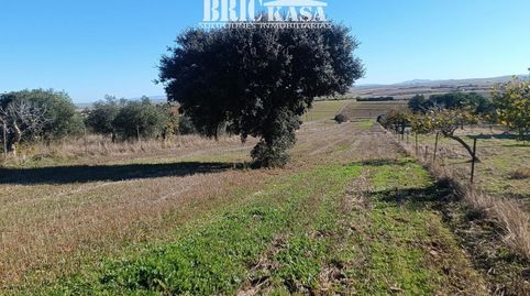 PARCELA EN SIERRA DE FUENTES, imagen 3