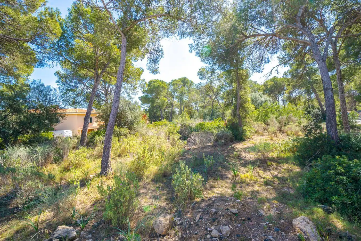 Terreno residencial en venta en Cala Vinyes, imagen 9