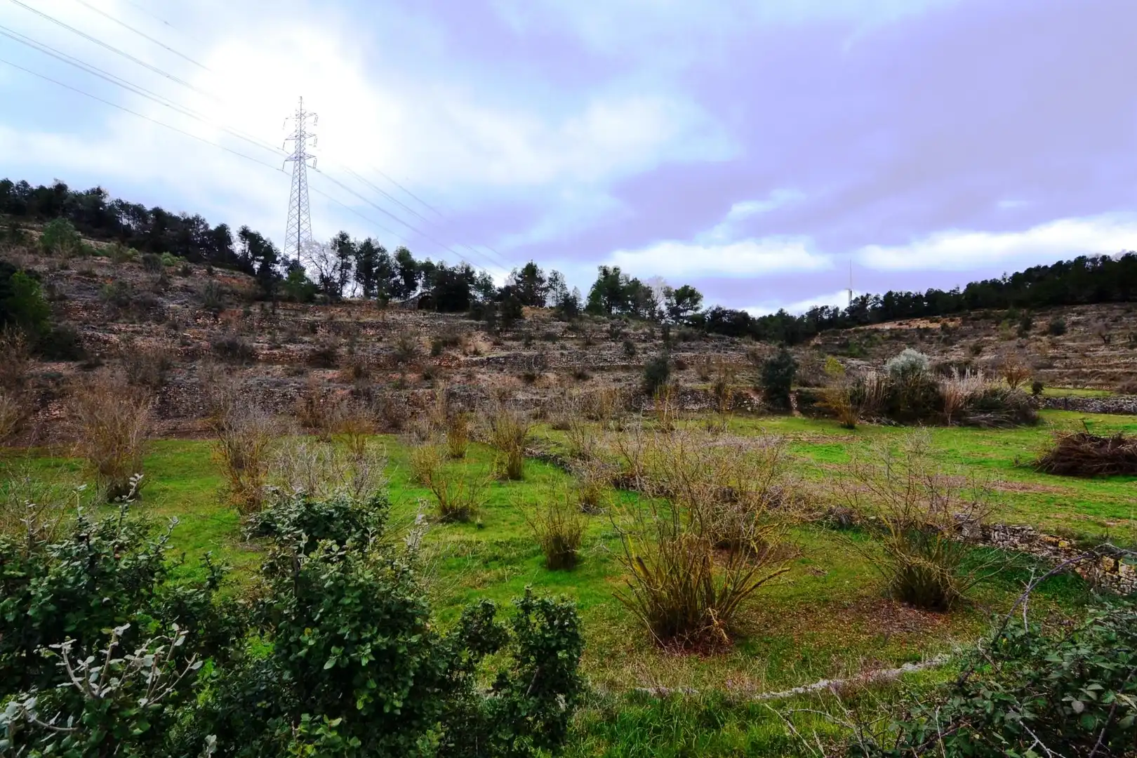 Terreno en venta en Vilalba dels Arcs