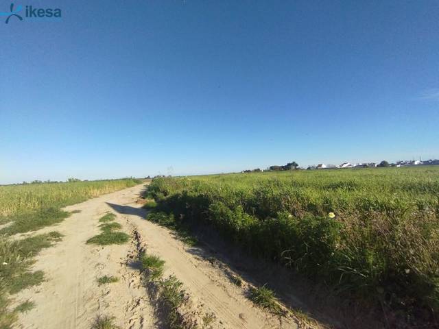 Terreno en Venta en Almonte ciudad