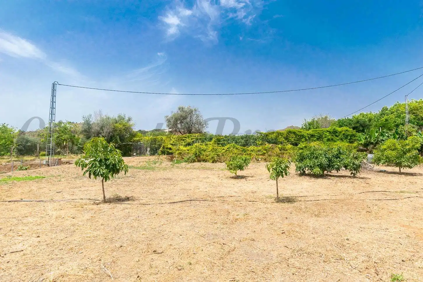 Casa con jardín en venta en Almayate, imagen 8