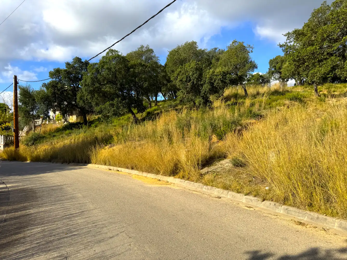 Wohnbaugrundstück zum Verkauf in Carrer Sensitiva, imagen 18