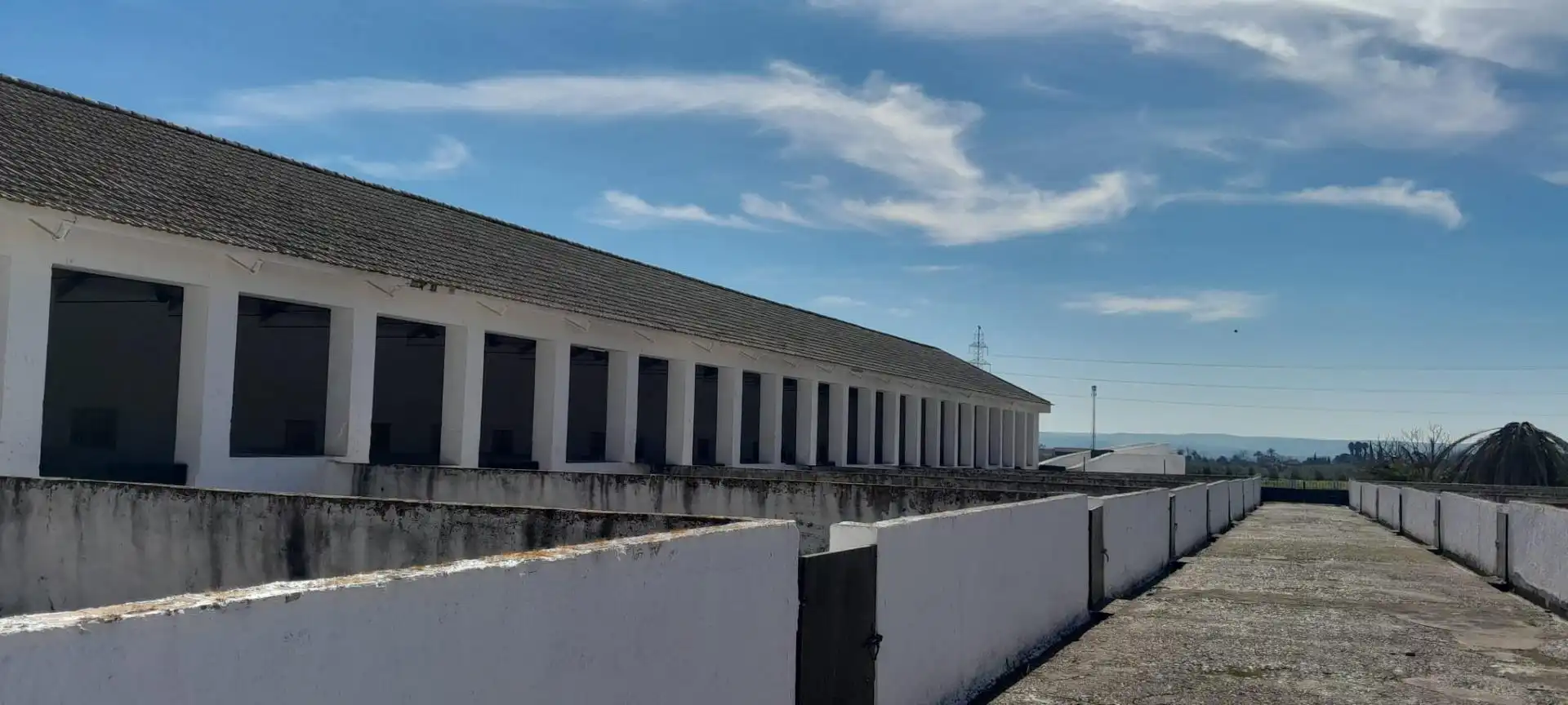 Vista exterior de Terreny industrial en venda en Córdoba