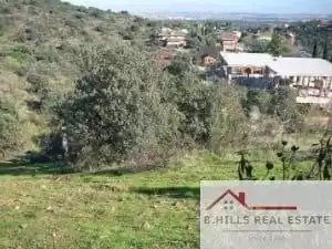 Terreny residencial en venda a Pino Alto - Navarredonda, imagen 3