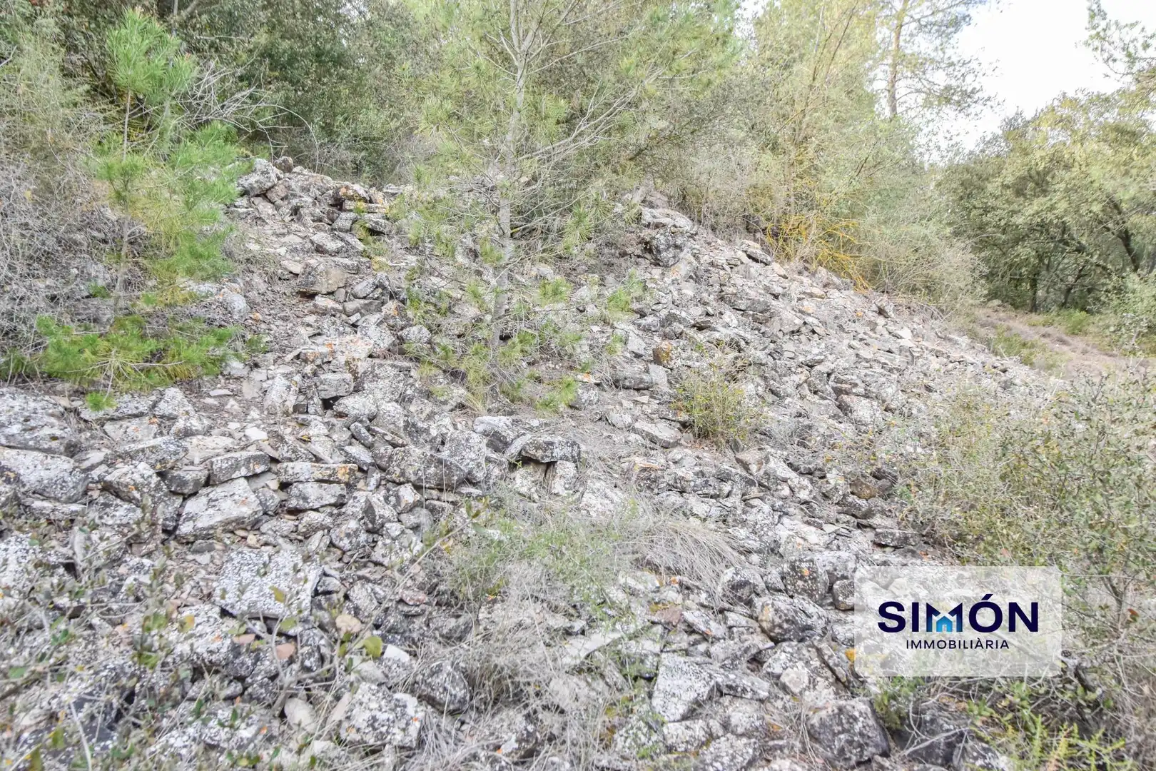Finca rústica en venta en Veciana