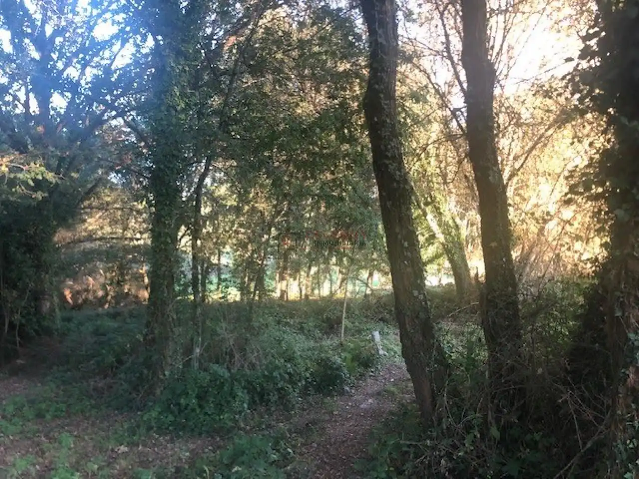 Terreni e lotti in vendita a Nogueira de Ramuín, imagen 6