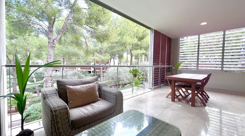 Foto 2 von Wohnungen zur Miete in Portals Nous, Calvià