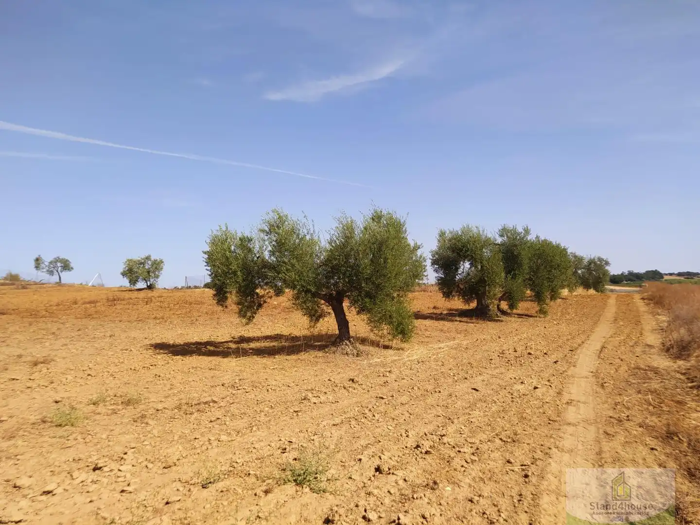 Finca rústica en venda a Villarrasa