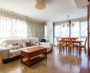 Sala d'estar de Casa adosada en venda en Paiporta amb Aire condicionat, Parquet i Terrassa