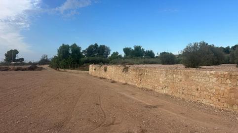 Photo 5 of Country house for sale in Crevillent, Alicante