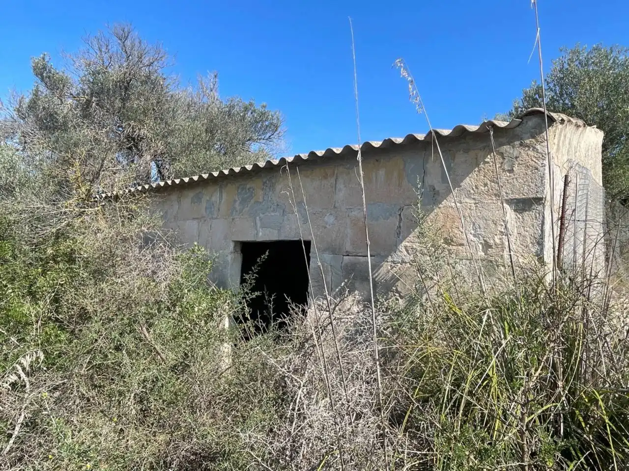 Grundstücke und Bauplätze zum Verkauf in Muro, imagen 5