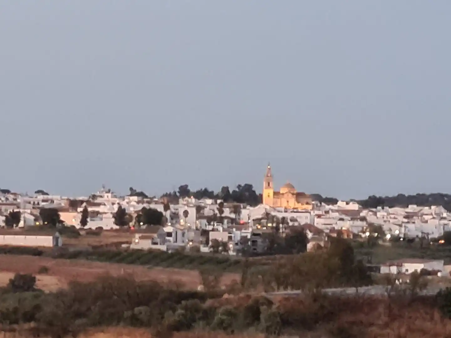 Vista exterior de Finca rústica en venda en Moguer, Huelva