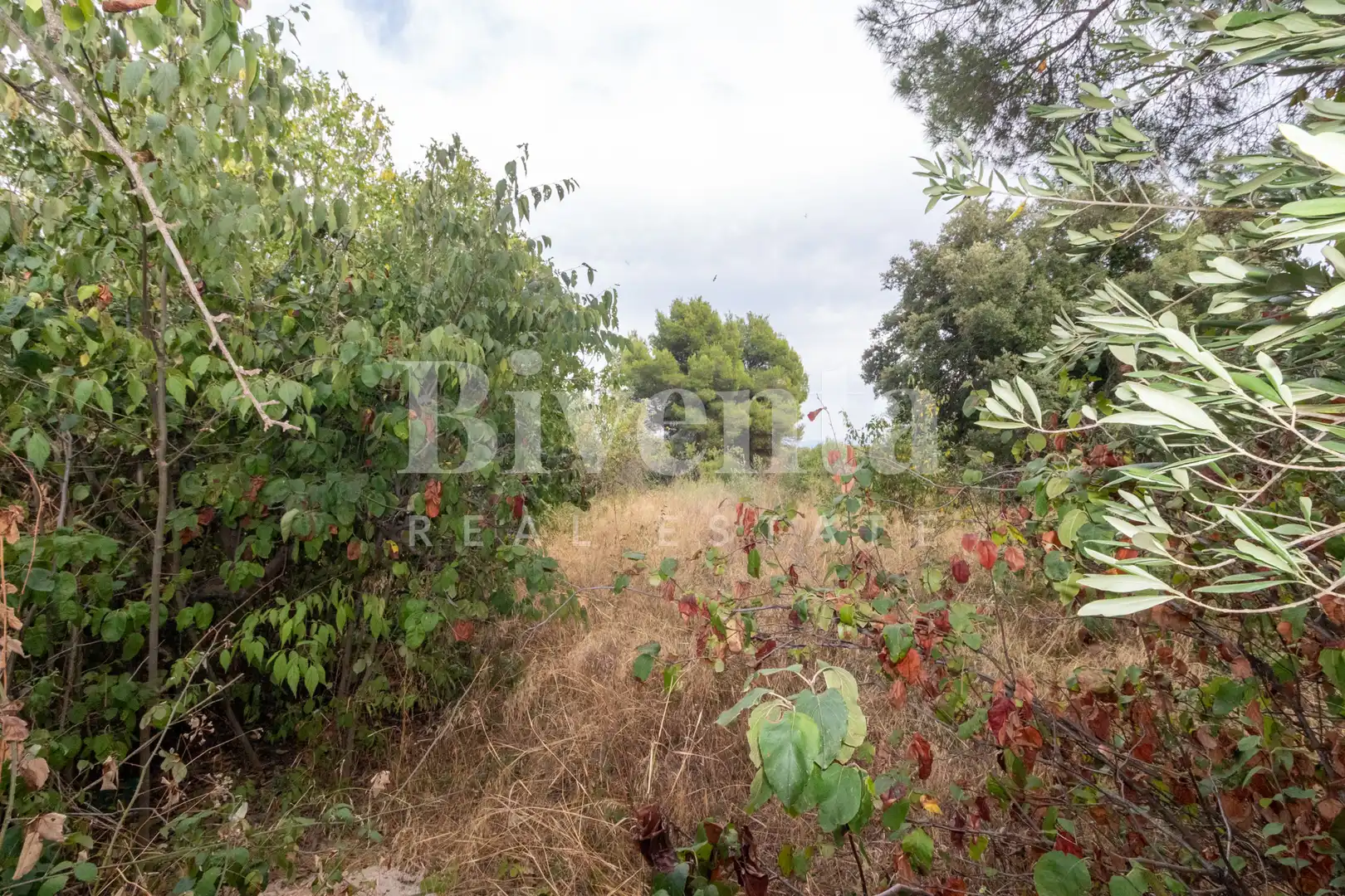 House with terrace for sale in Piera, imagen 31