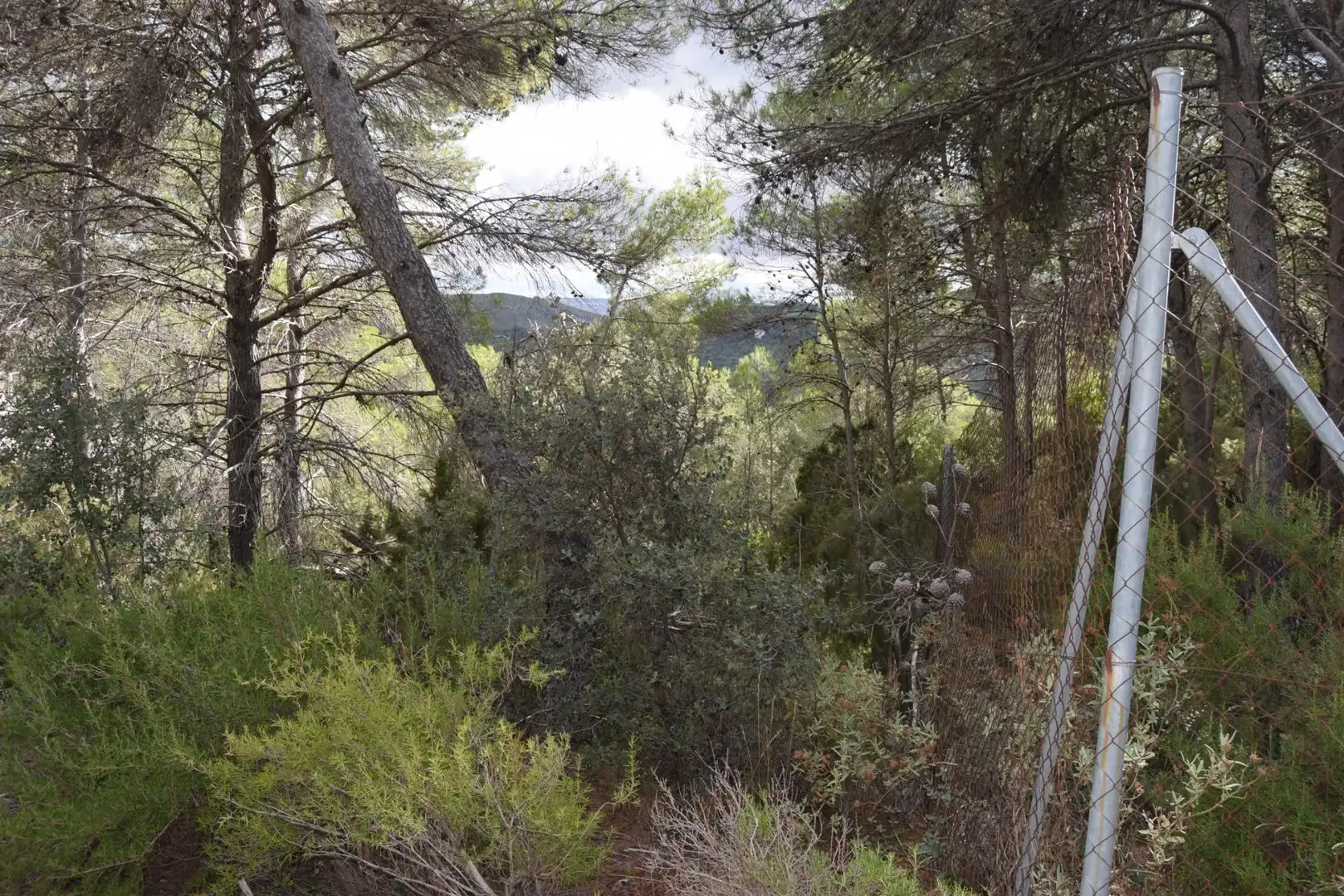 Residential land for sale in Calle Nueva Sierra CR, imagen 5
