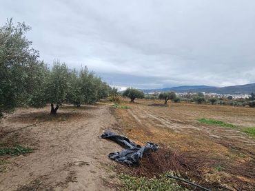 Terreno rustico in vendita a Polígono Polígono