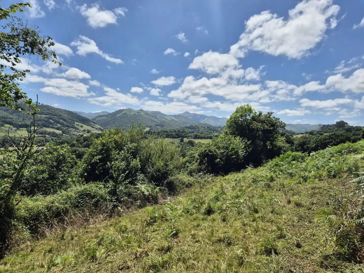 Residential land for sale in Grado, imagen 9