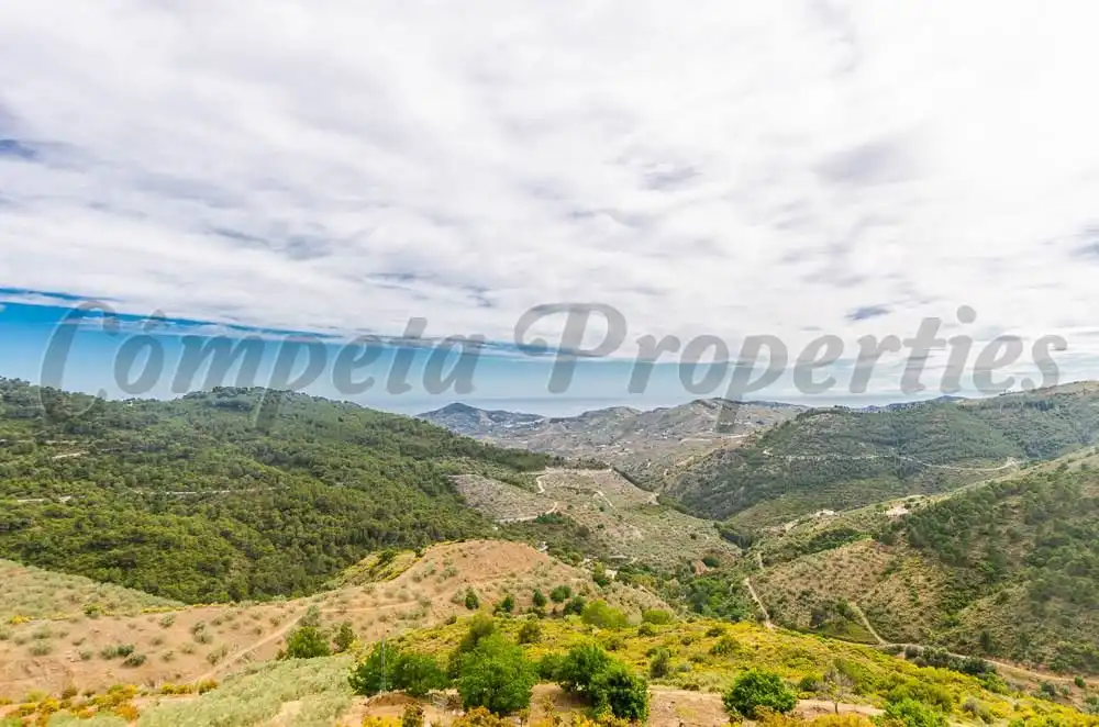 Casa amb jardí en venda a Canillas de Albaida, imagen 2