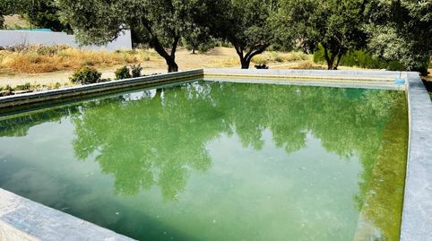 Foto 3 de Finca rústica en venta en Cueva de Menga, Antequera
