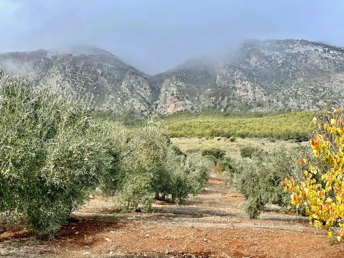 Finca rústica en venda en Huelma, Jaén