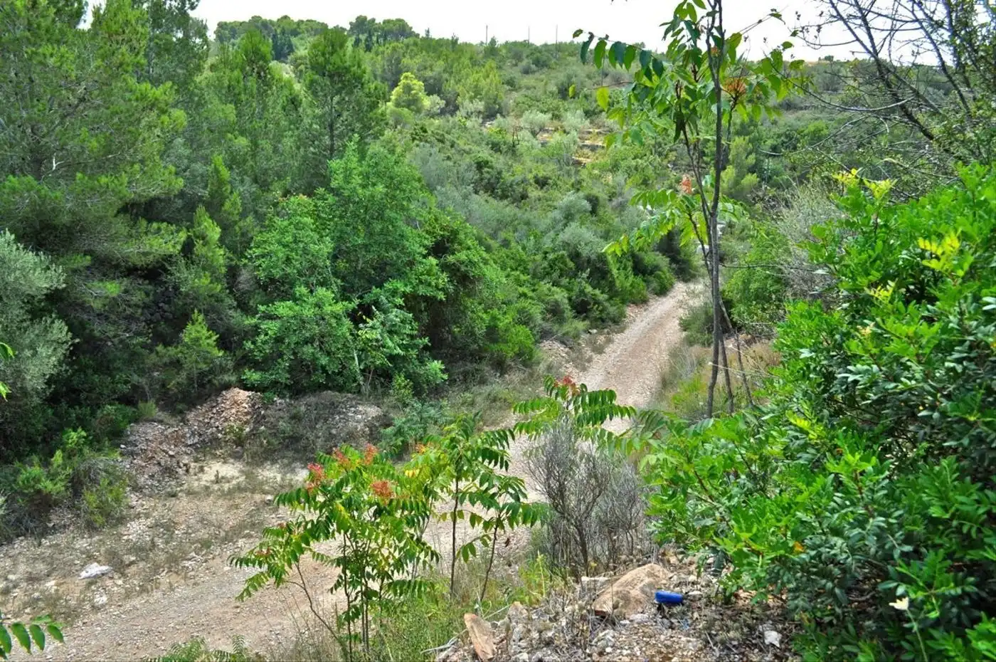 Land for sale in Camí del Barranc de la Llet, 26, Sant Llàtzer
